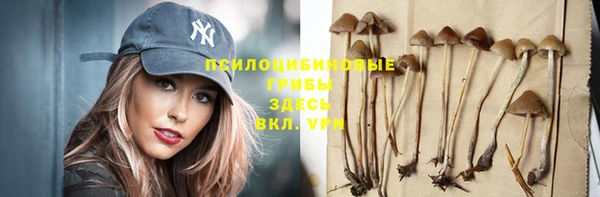 прущая мука Кукмор