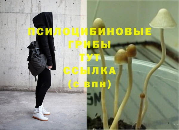 прущая мука Лагань