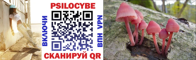 Купить  Улан-Удэ  Псилоцибиновые грибы Magic Shrooms 